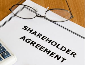 What Are Partnership and Shareholder Agreements
