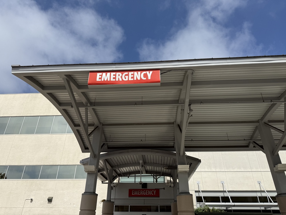 San Bernardino, CA - Woman Killed, Another Injured in Dog Attack on Pacific St